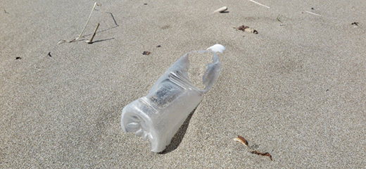 「生分解性プラスチック」と「バイオマスプラスチック」の違いとは？